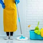 izmir bayraklı temizlik firmaları