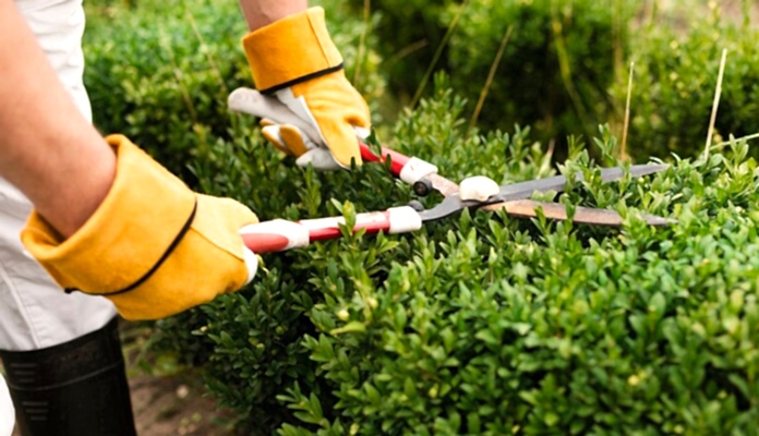 izmir peyzaj hizmetleri